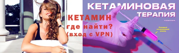 шишки Покачи