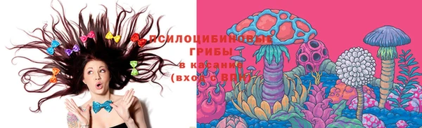 первитин Алексеевка